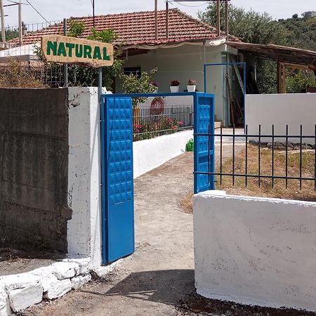 Natural Hostel Himare Exterior photo